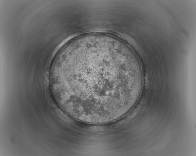 X0000113601212200910091513