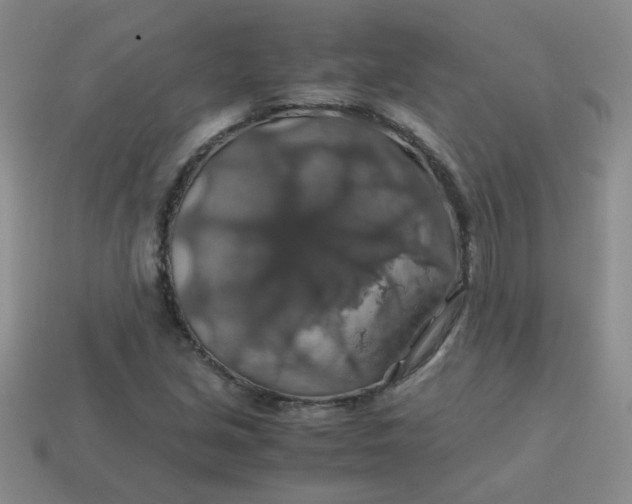 X0000113601213200910091513