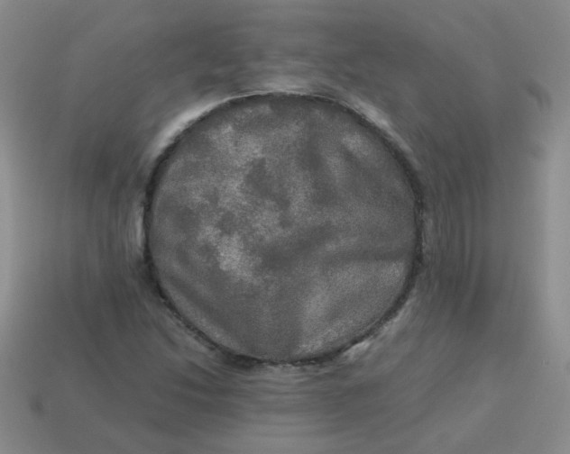 X0000113601214200910091513