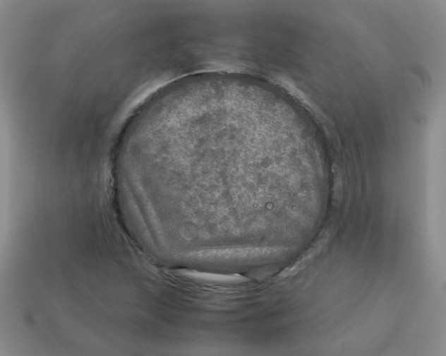 X0000113601215200910091513