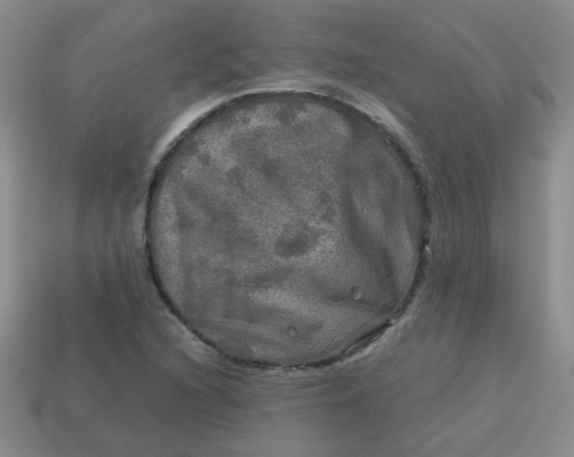 X0000113601216200910091513