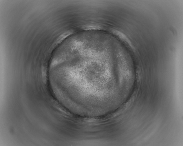 X0000113601217200910091513