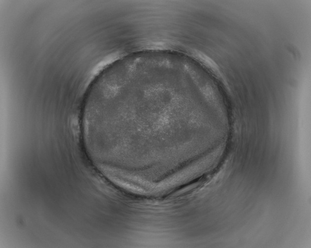 X0000113601218200910091513