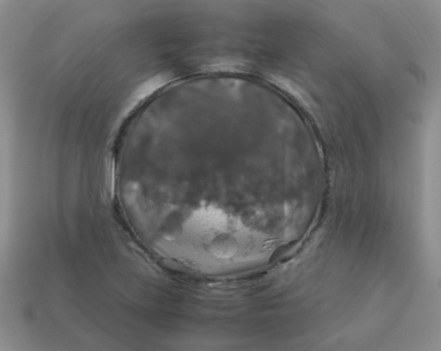 X0000113601219200910091513