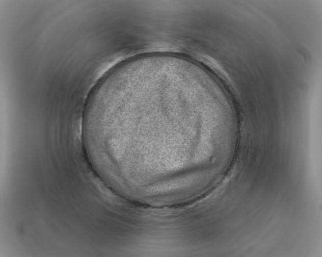 X0000113601220200910091513