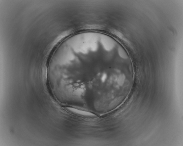 X0000113601221200910091513