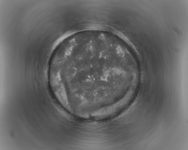 X0000113601222200910091513