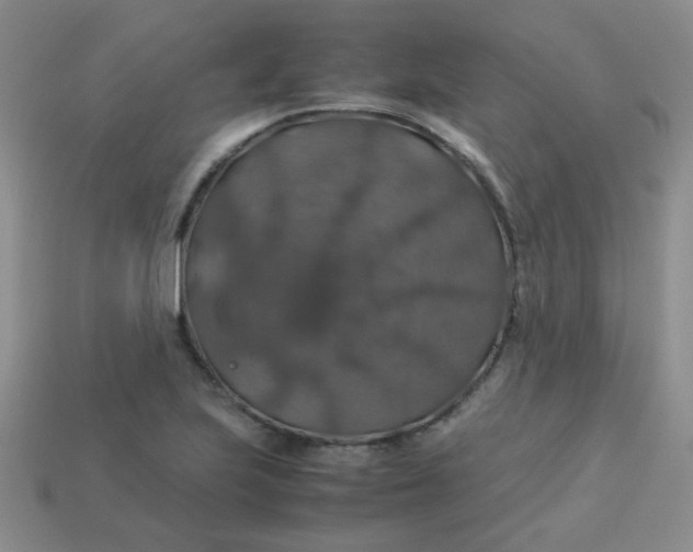 X0000113601223200910091513