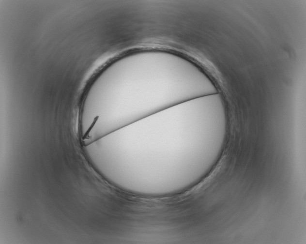 X0000113601224200910091513