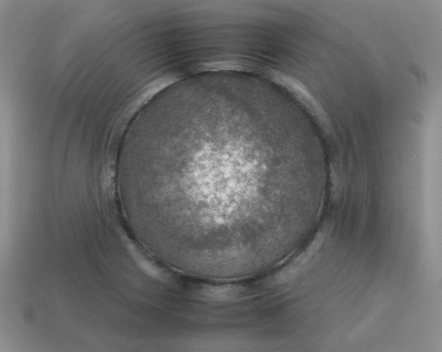 X0000113601225200910091513