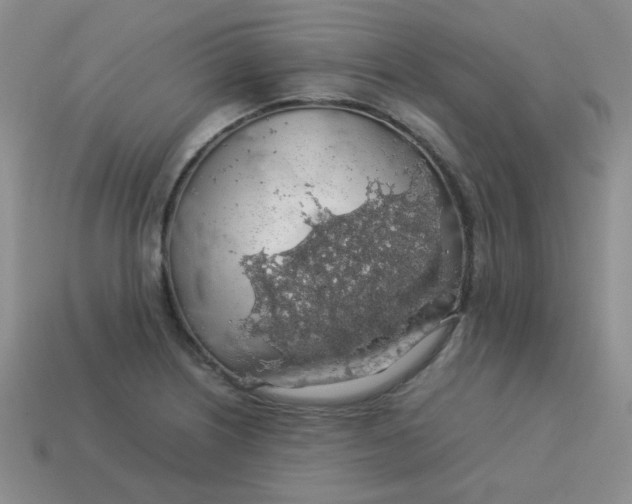 X0000113601226200910091513