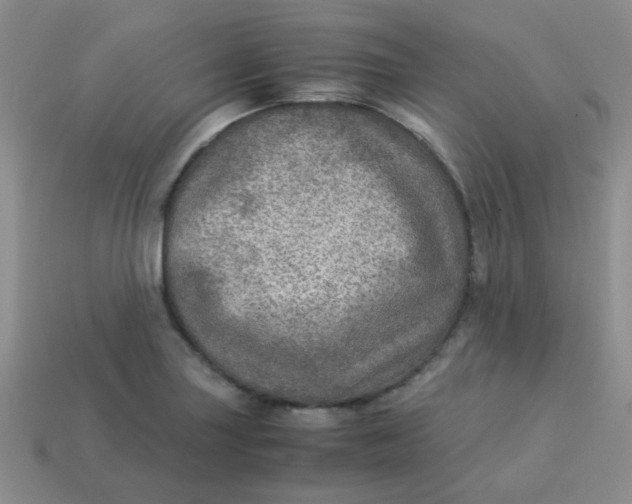 X0000113601227200910091513