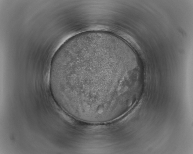 X0000113601228200910091513