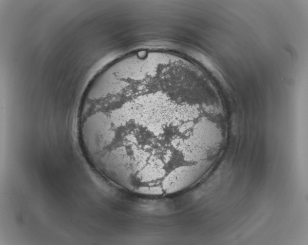 X0000113601229200910091513