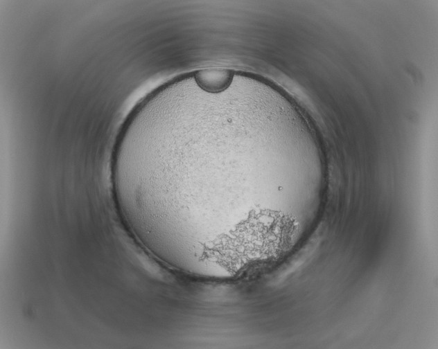 X0000113601230200910091513