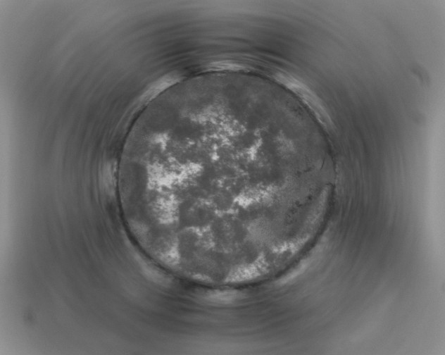 X0000113601233200910091513