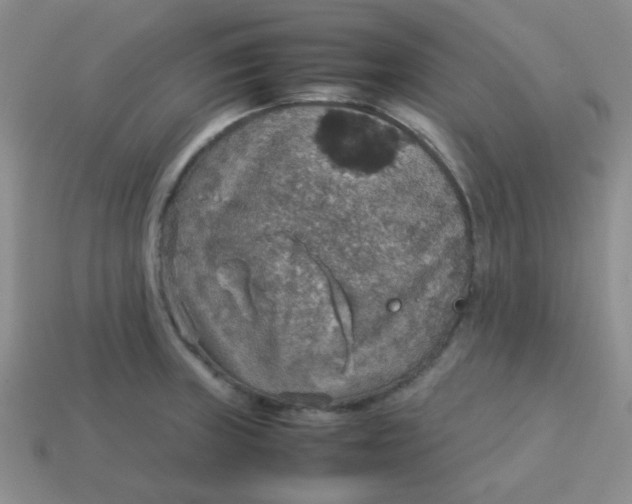 X0000113601235200910091513