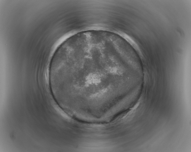 X0000113601238200910091514