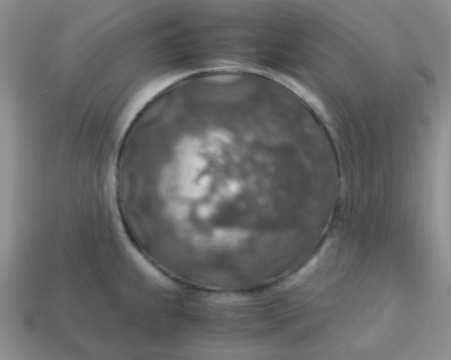 X0000113601239200910091514