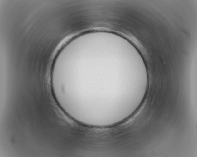 X0000113601240200910091514