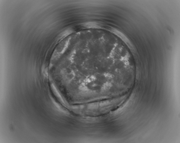 X0000113601241200910091514