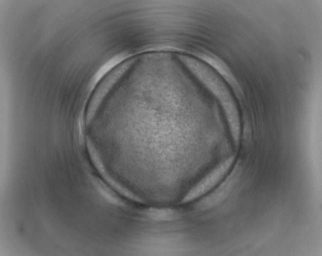 X0000113601242200910091514