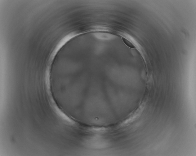 X0000113601243200910091514