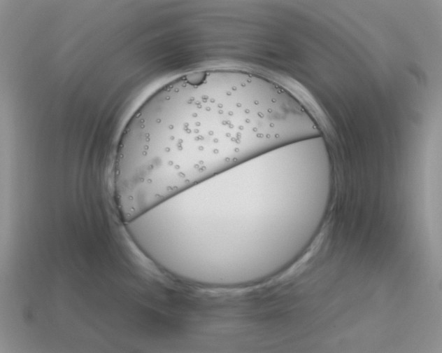 X0000113601244200910091514