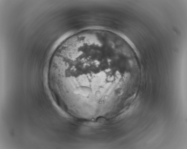 X0000113601245200910091514