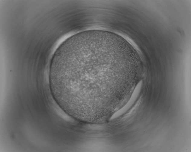 X0000113601246200910091514