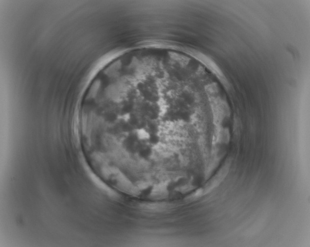 X0000113601247200910091514