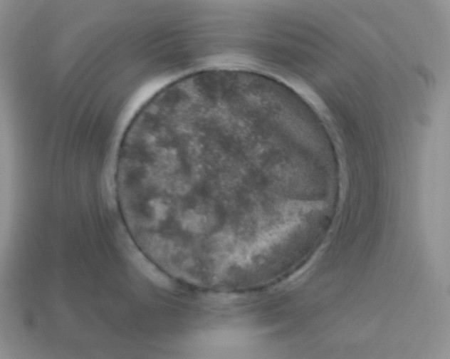 X0000113601248200910091514