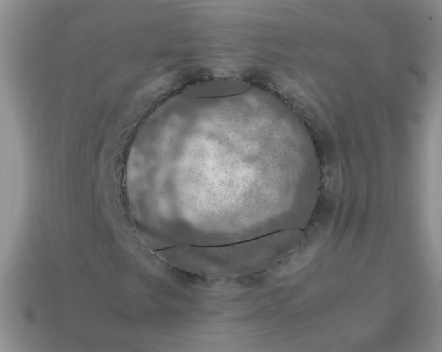 X0000113601249200910091513