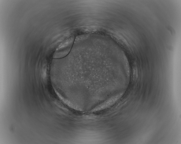 X0000113601250200910091513