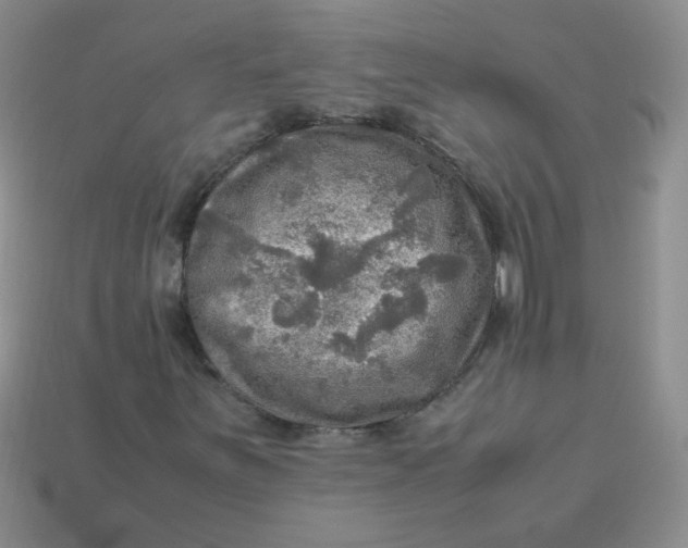 X0000113601251200910091513