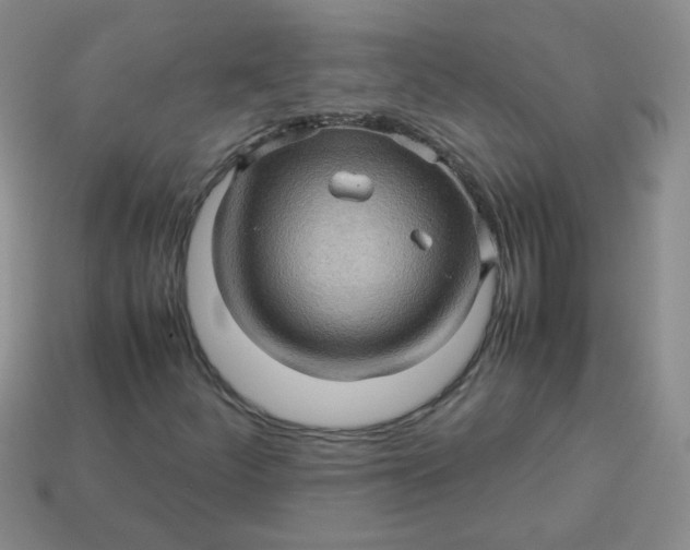 X0000113601252200910091513