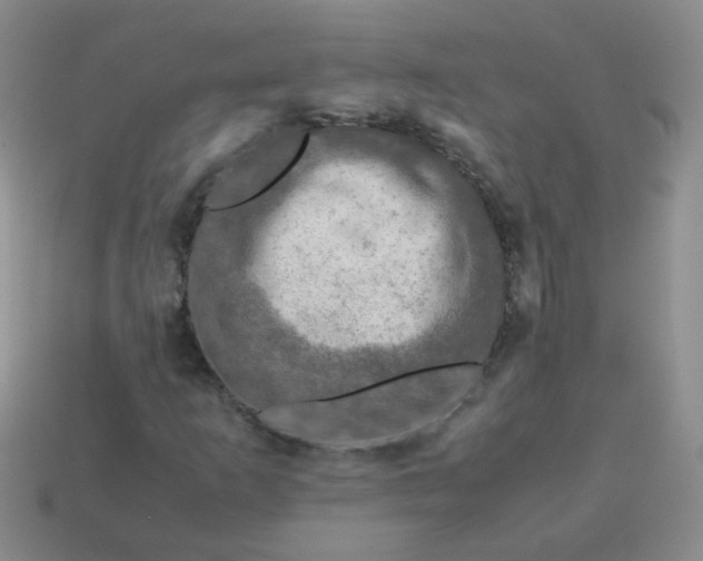 X0000113601253200910091513