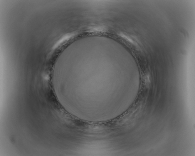 X0000113601254200910091513