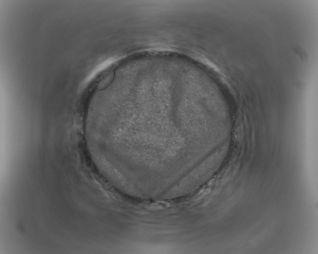 X0000113601255200910091513