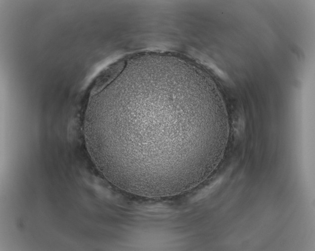 X0000113601256200910091513