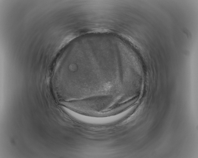 X0000113601257200910091513