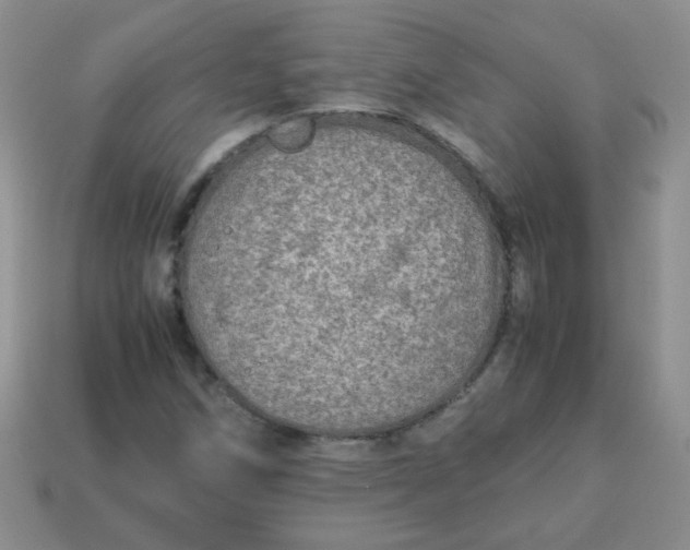 X0000113601258200910091513