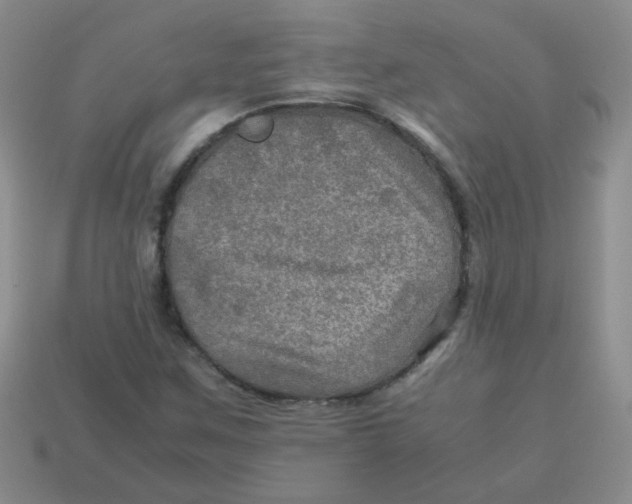 X0000113601259200910091513