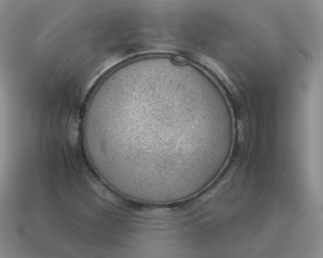 X0000113601260200910091513