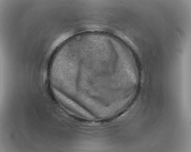 X0000113601261200910091513