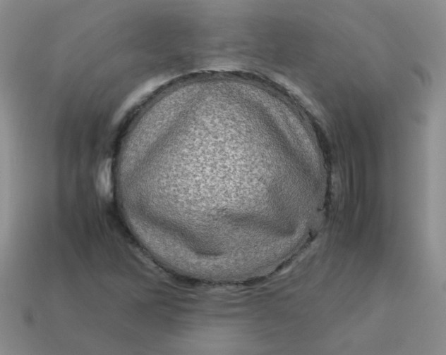 X0000113601262200910091513