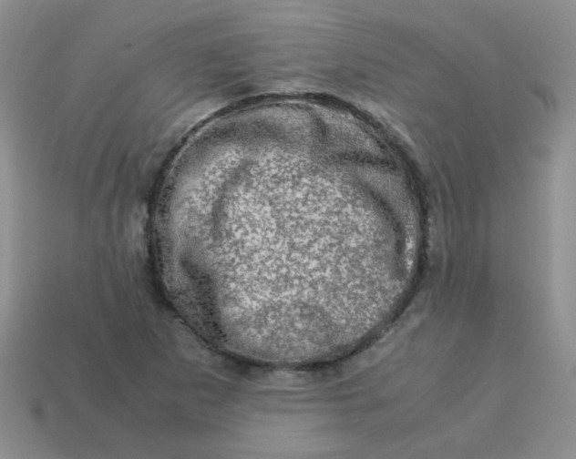 X0000113601265200910091513