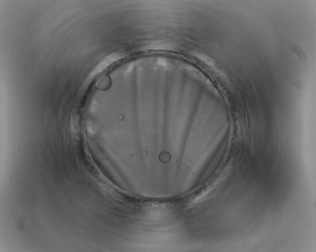 X0000113601266200910091513