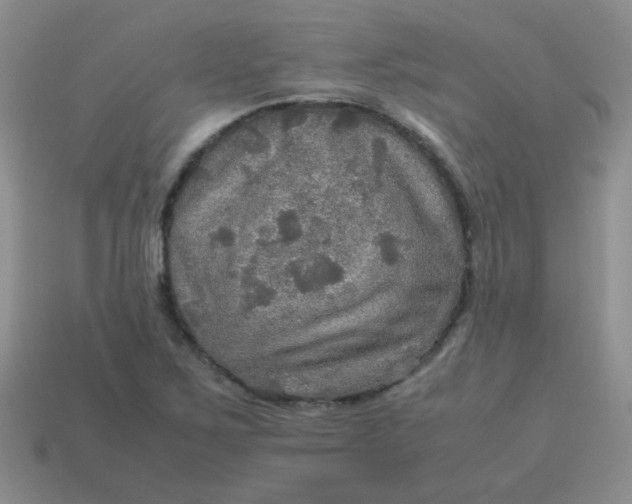 X0000113601267200910091513