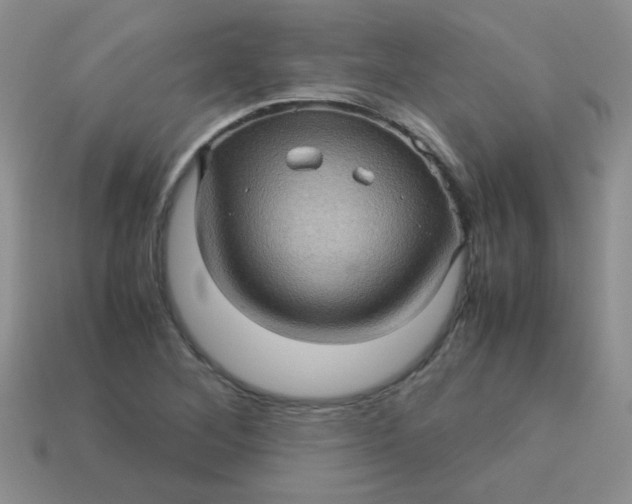 X0000113601268200910091513